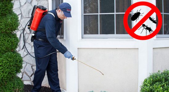 Gökçebey Dezenfeksiyon böcek ilaçlama ve haşere kontrolü — ilaclama-tr.com